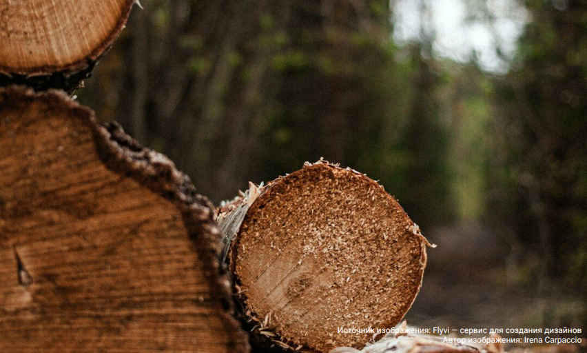 В Китае усилены требования к экспорту сырьевой древесины и пиломатериалов