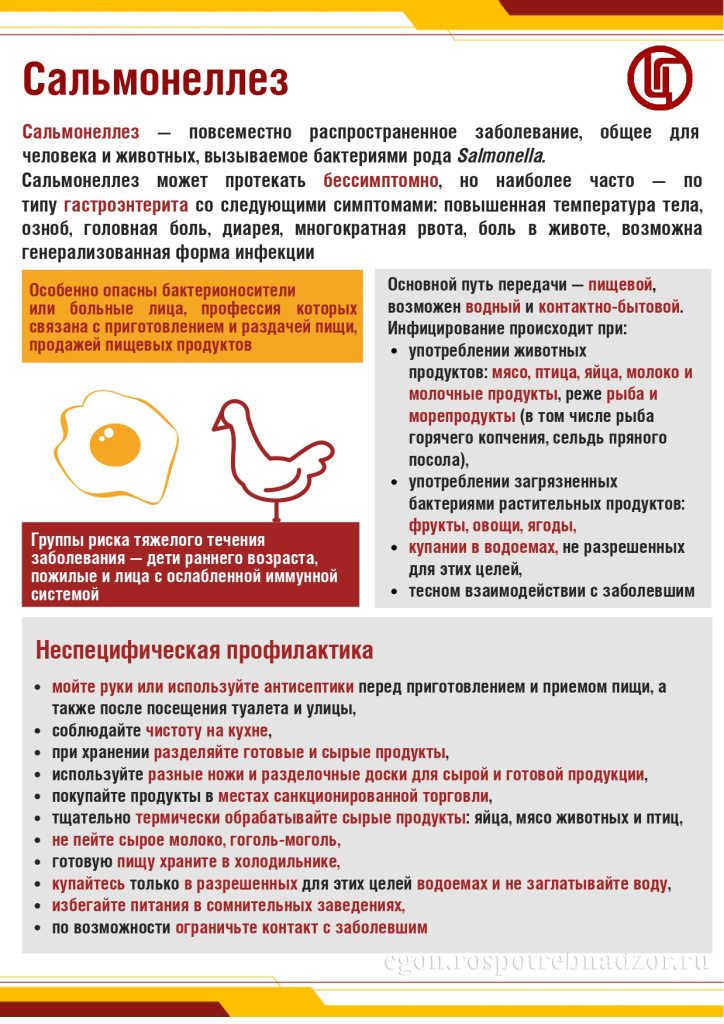 Сальмонеллез_памятка_page-0001.jpg