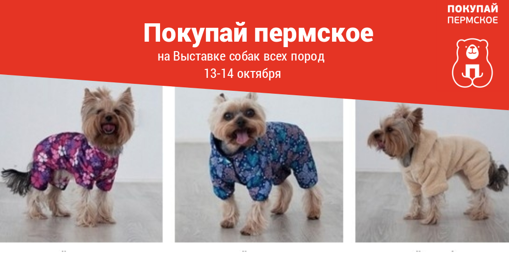 выставка собак.jpg