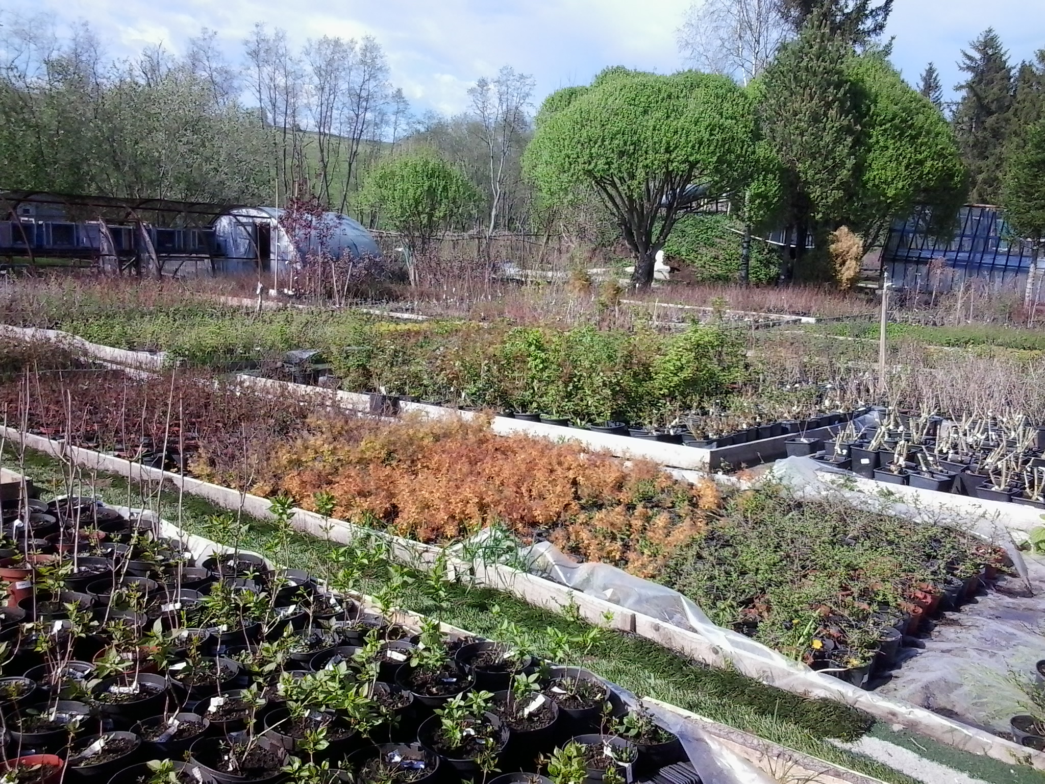 2015-05-21 16.30.51.jpg
