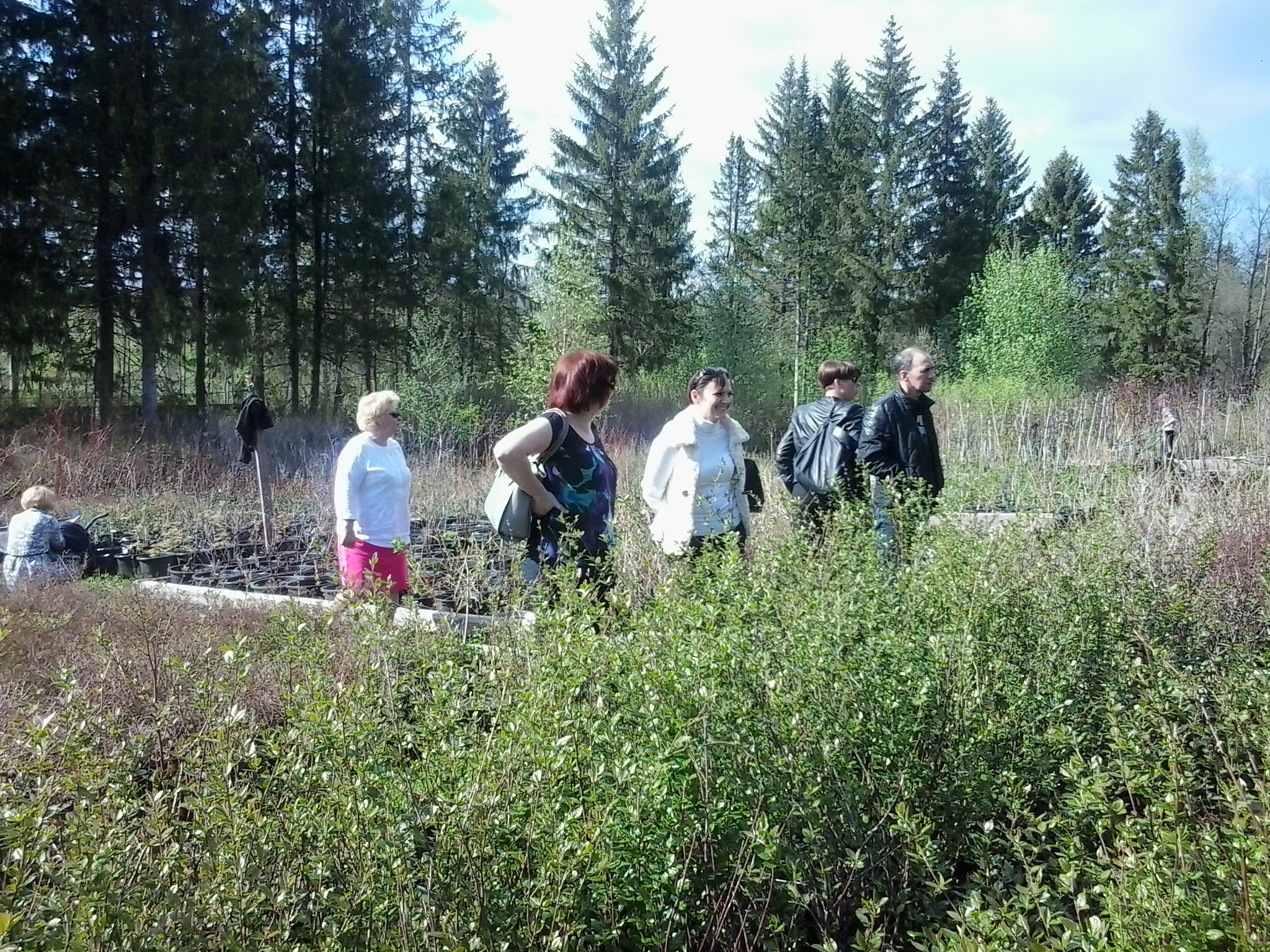 2015-05-21 16.43.26.jpg