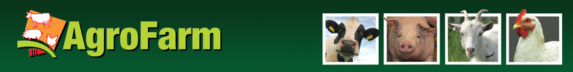 ф9.png