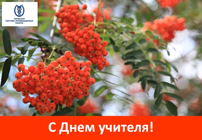 деньучителя2017.jpg деньучителя2017.jpg