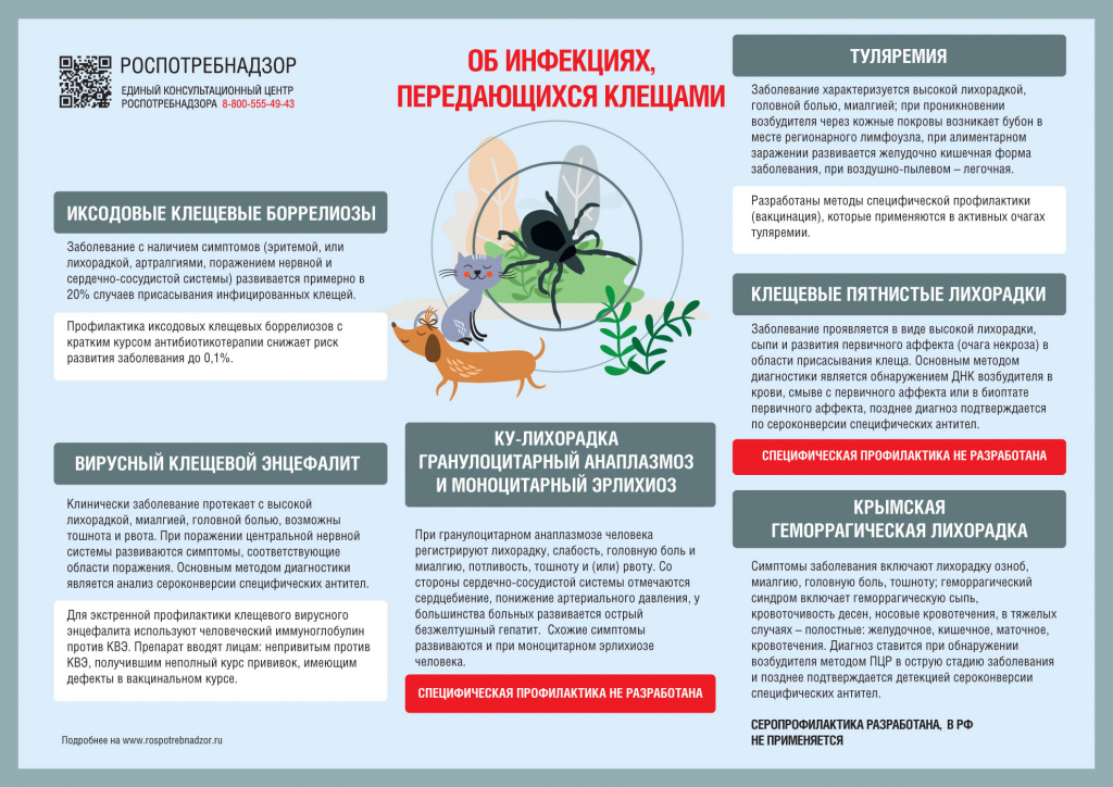 инфекции клещи.jpg инфекции клещи.jpg