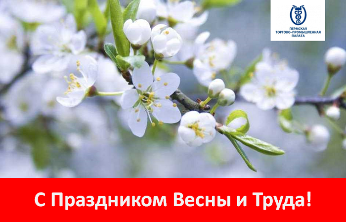 поздравление1м.png